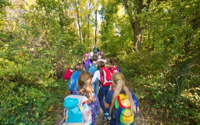 Skole i skogen – et godt læringsmiljø